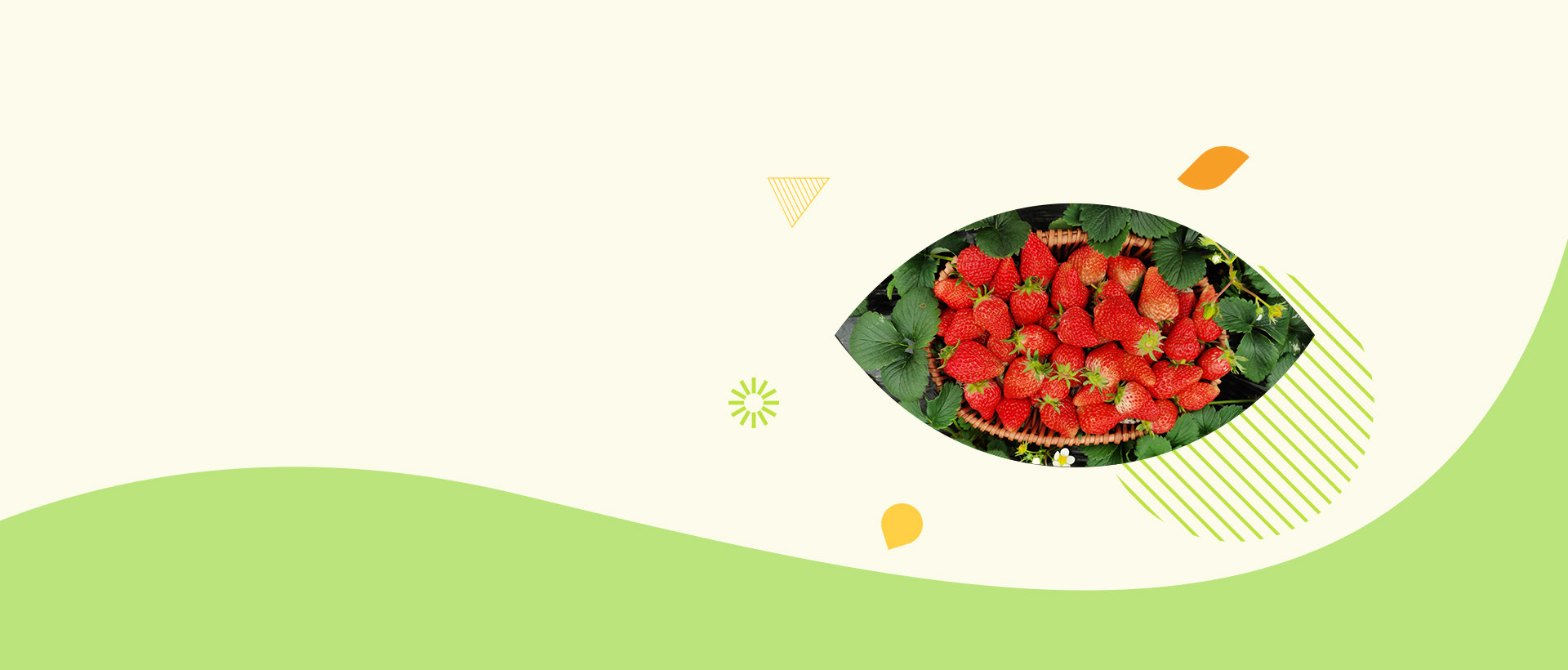 關(guān)注焦點(diǎn)