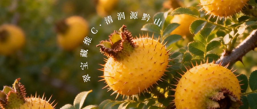 黔山藏 “綠寶”，一口鎖鮮維C